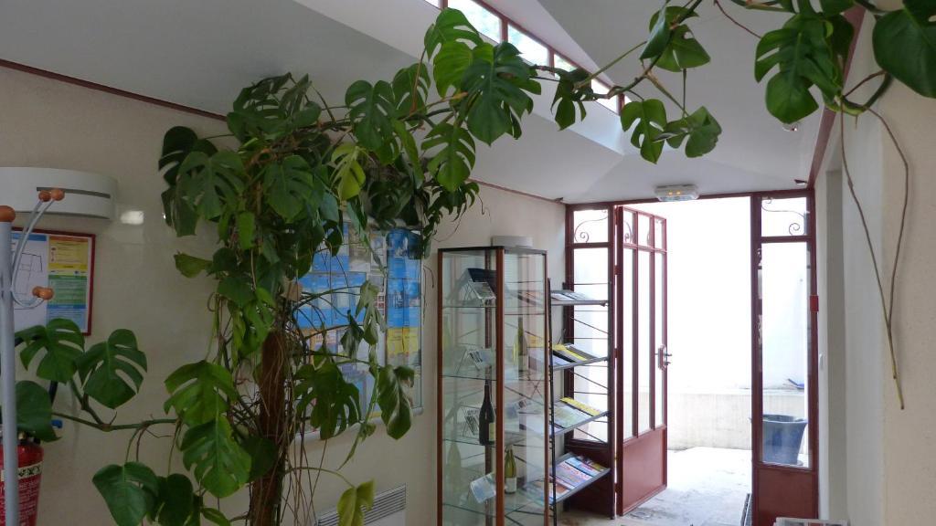 オセール La Maison Des Randonneursホステル エクステリア 写真